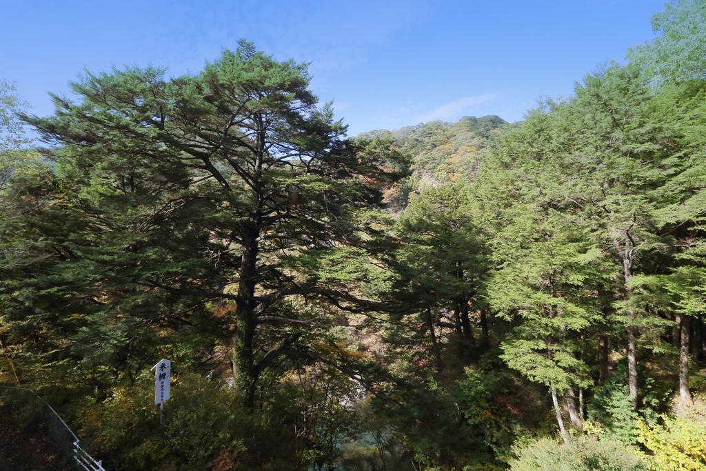 Tsuganoki Hotel Nikkō Luaran gambar