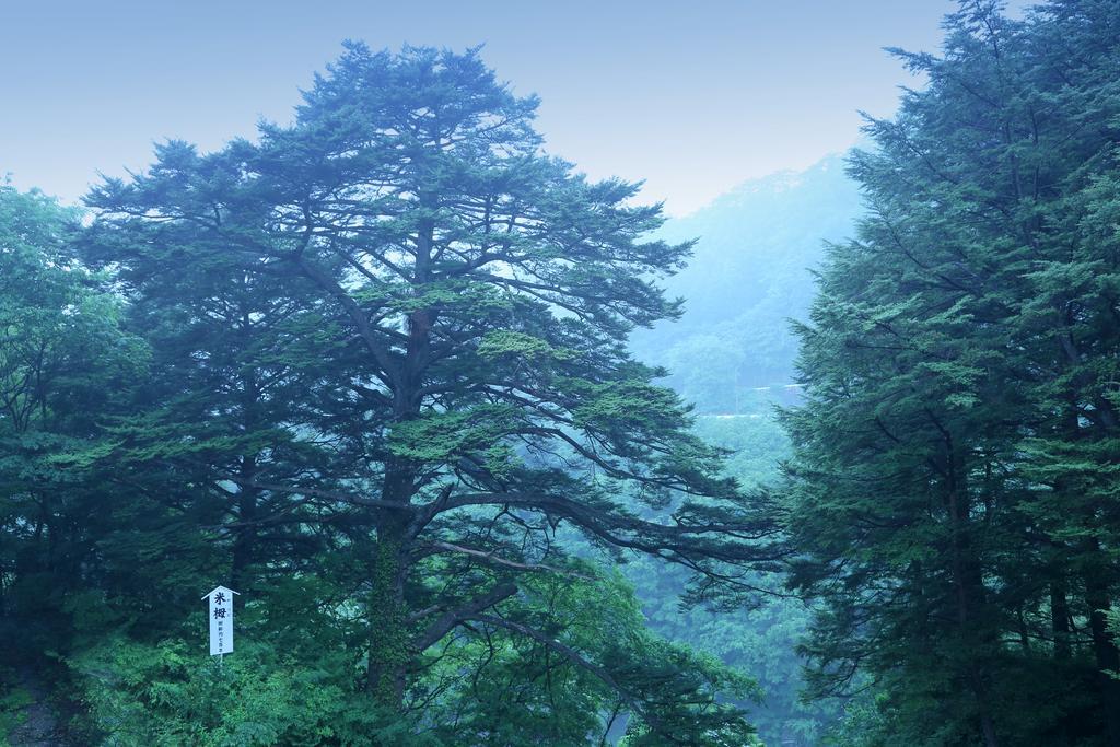 Tsuganoki Hotel Nikkō Luaran gambar